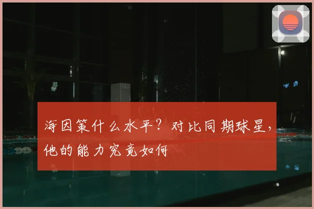 海因策什么水平？对比同期球星，他的能力究竟如何