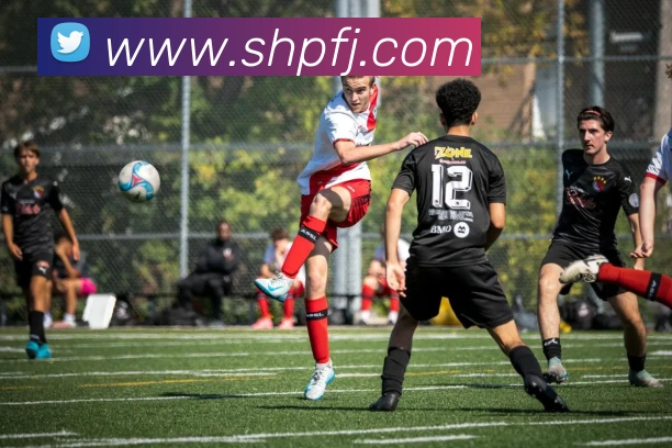 爱体育电竞官网服务体系